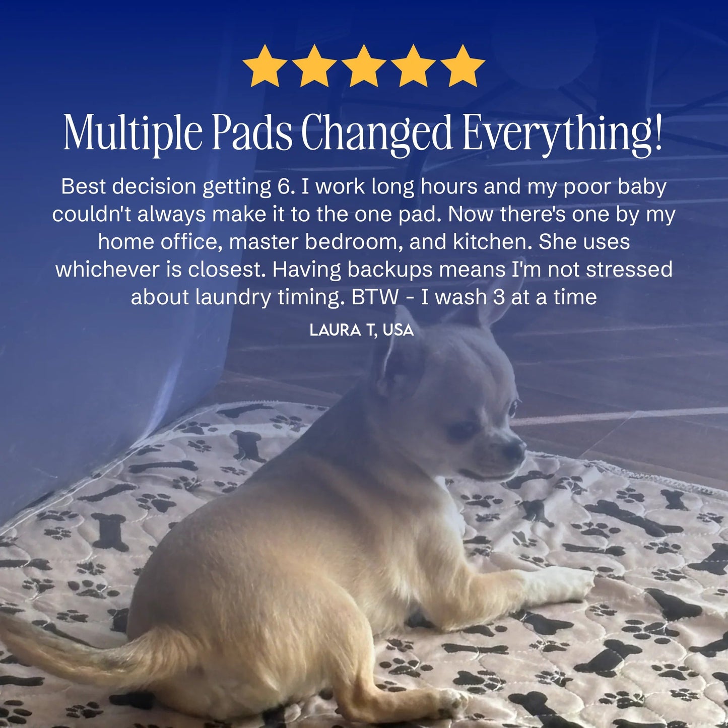 ElitePad - The Last Pee Pad You'll Get