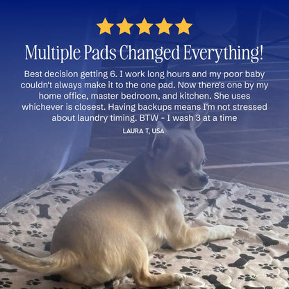 ElitePad - The Last Pee Pad You'll Get